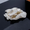 Chloroprene Rubber CC2442 - Image 3
